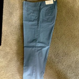 Loft cropped blue pants. Size 2 curvy. NWT